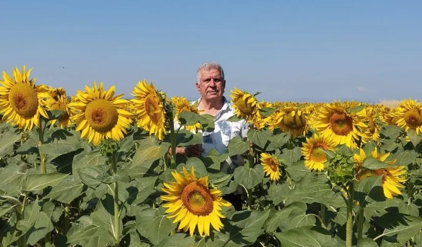 Ayçiçeği ve pirinç ithalatına Edirne'den tepki