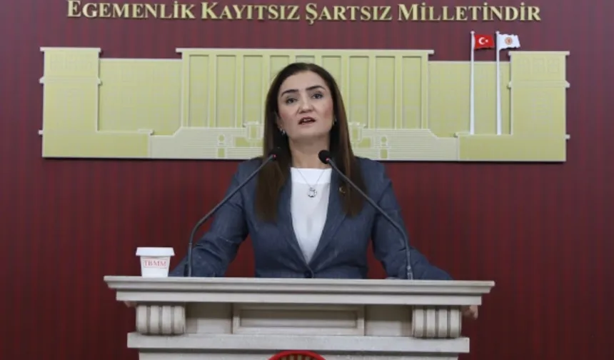 CHP Grup Başkanvekili Kılıç'tan 'silahsızlanma' vurgusu