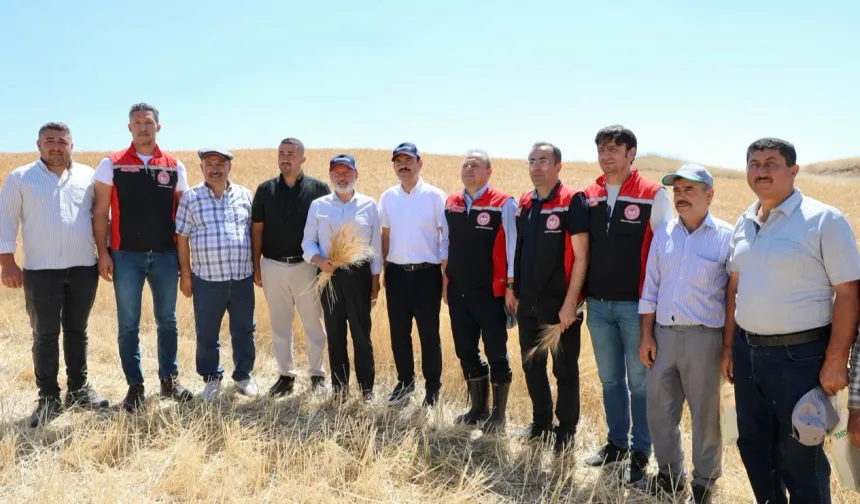 Kayseri Kocasinan'da tarım buluşması hasatla açıldı