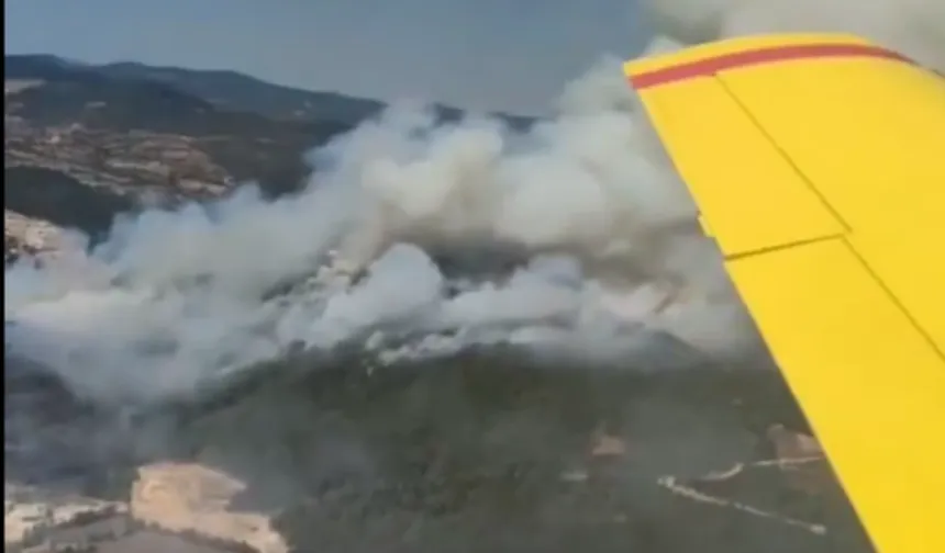 Sındırgı'da orman yangını! 6 uçak ve 6 helikopter havada