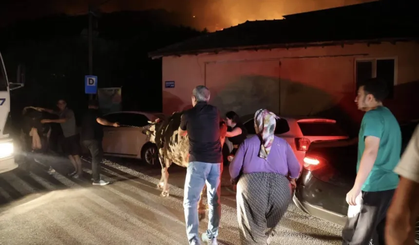 Aksu Karaöz'de orman yangını: Havadan ve karadan yoğun müdahale