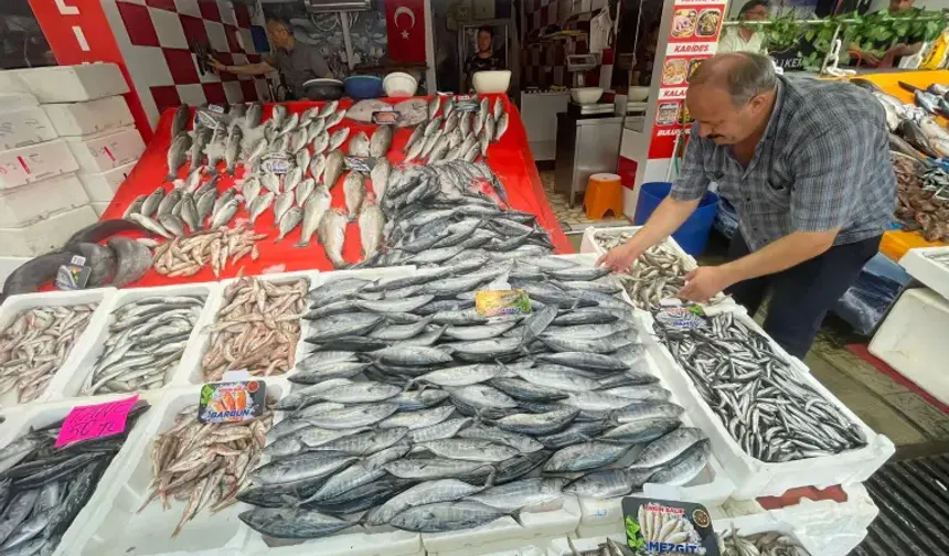Av sezonu palamut bolluğuyla başladı