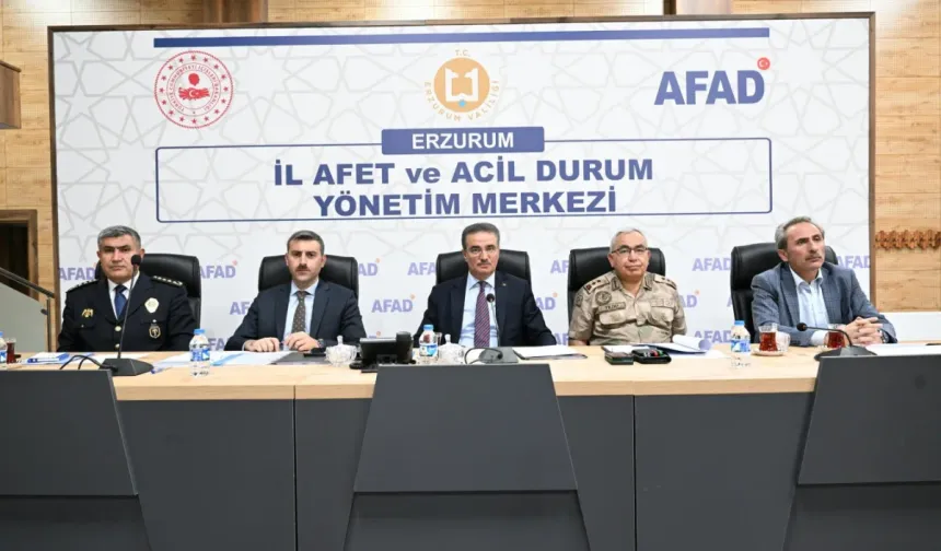 Erzurum'da sokak hayvanlarını beslemeye yasak geldi!