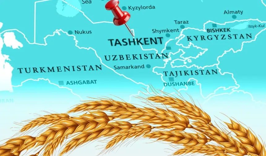 Türkiye un ihracatında 12. şampiyonluk hedefini koydu... Tahıl sektörü Taşkent'te buluşuyor