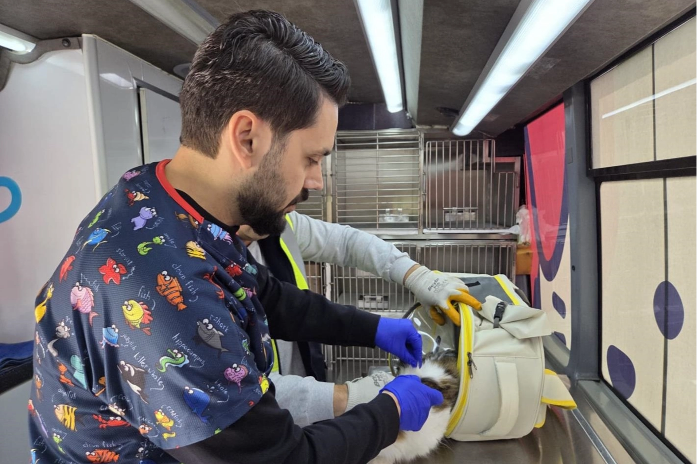Balıkesir'de can dost aracı yollarda