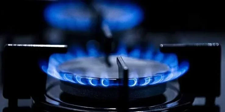 Hanelerde en çok doğal gaz tüketildi: Enerjinin yüzde 62'si ısınmaya gitti